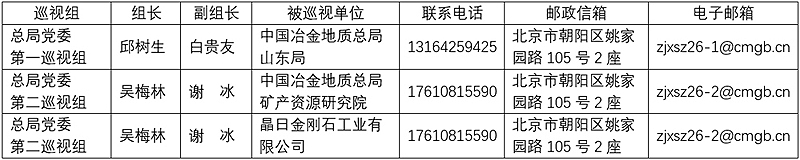 巡视组表格.jpg