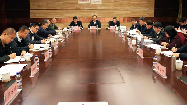 总局召开2026年度西藏找矿突破推进会,网站版.jpg
