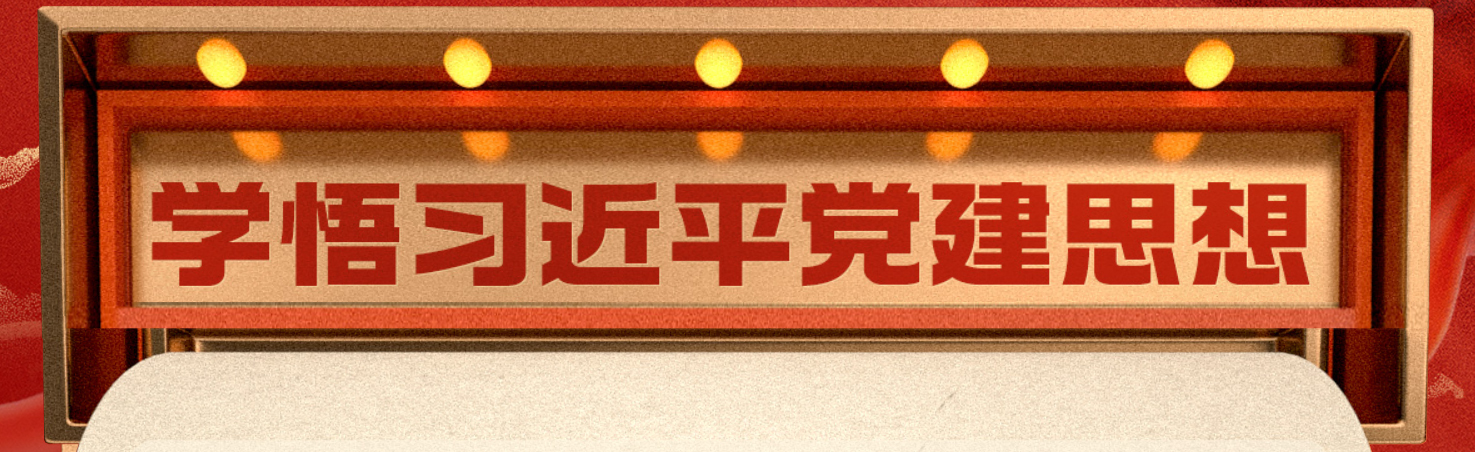 学习贯彻习近平党建思想